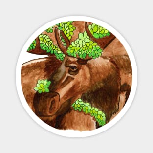 Moose with Succulents Magnet